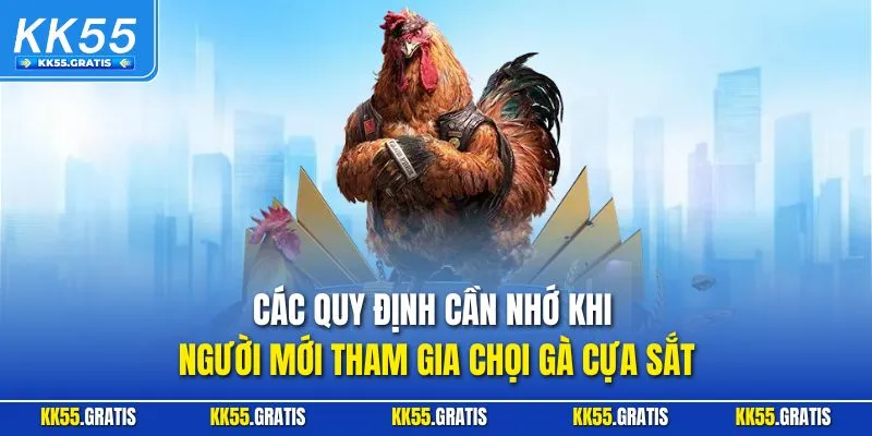 Các quy định cần nhớ khi người mới tham gia chọi gà cựa sắt